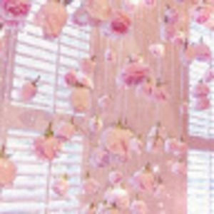 Meet your Posher, Carina